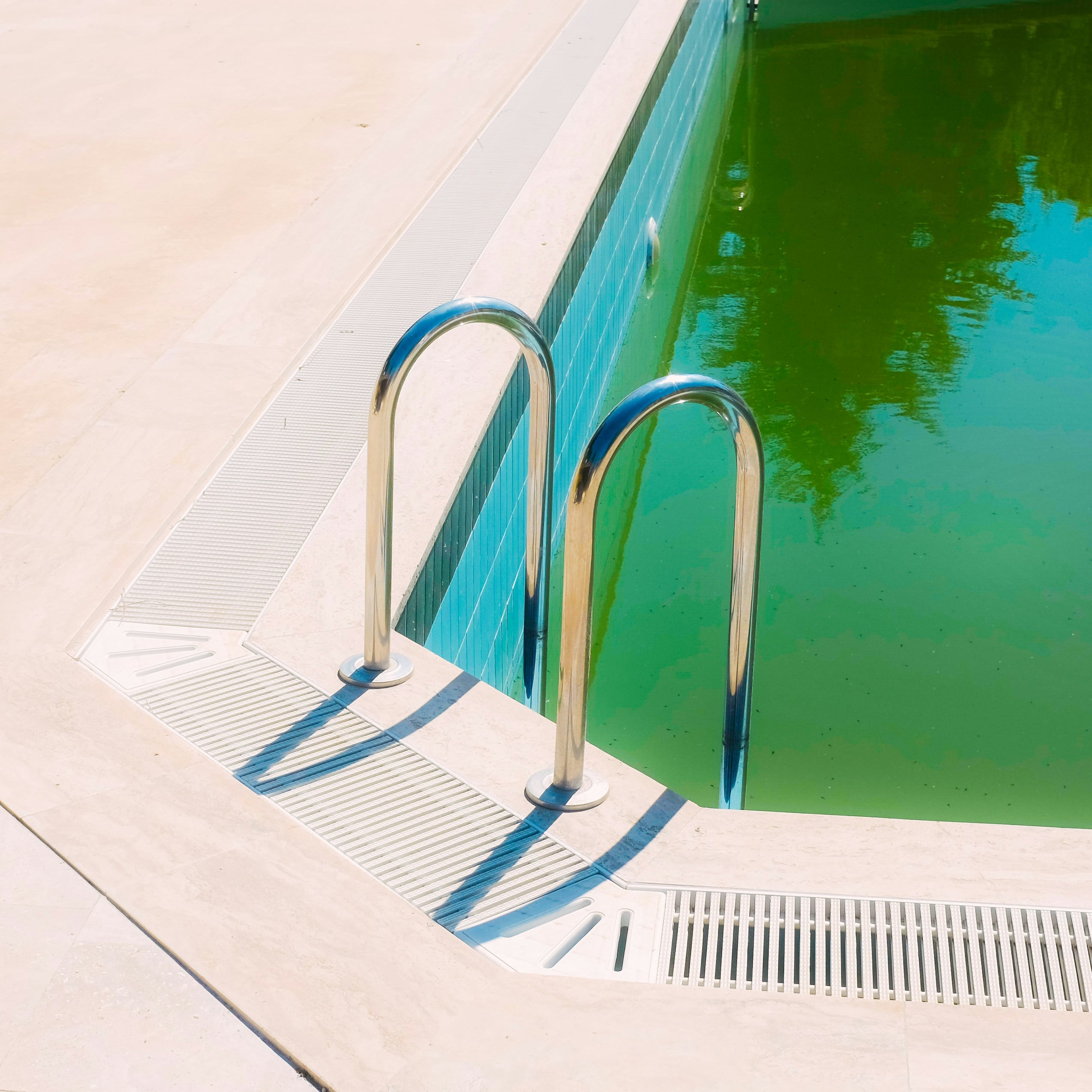 algae in pool