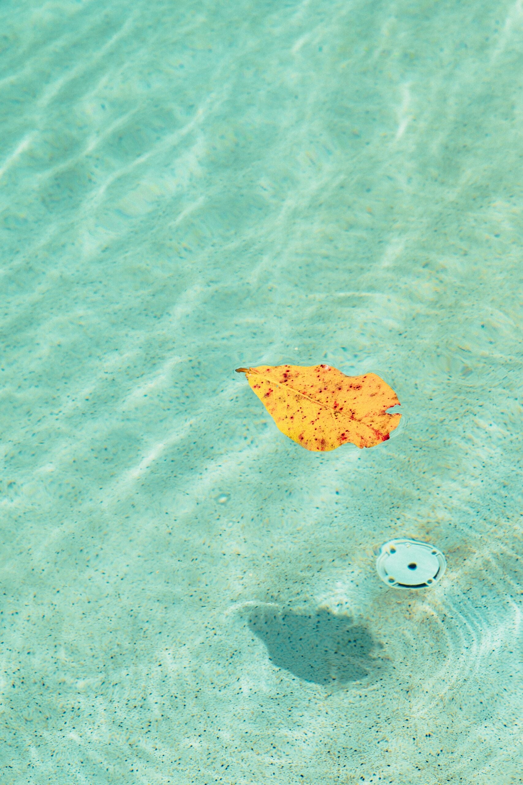 Getting Your Pool Ready for Fall in Texas: An End-of-Summer Checklist