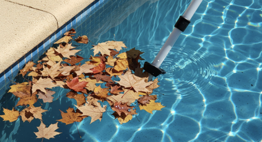 fall